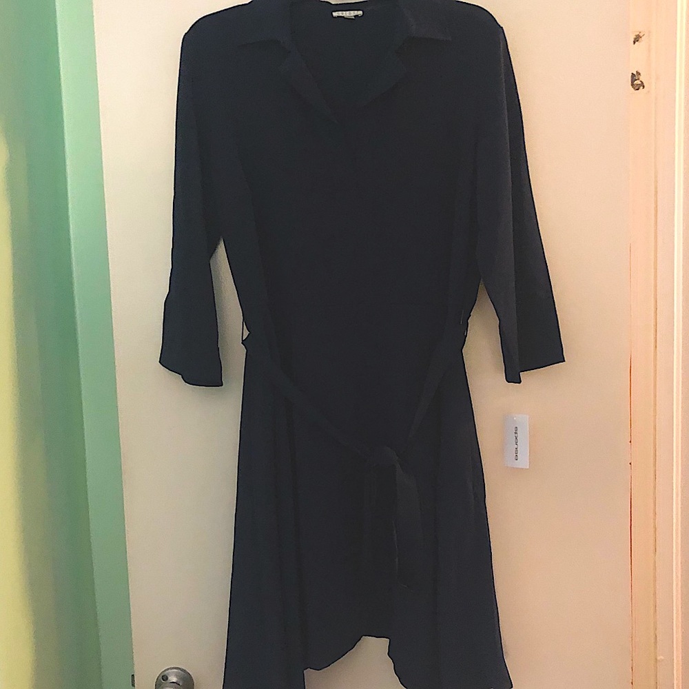Spense Dress NWT